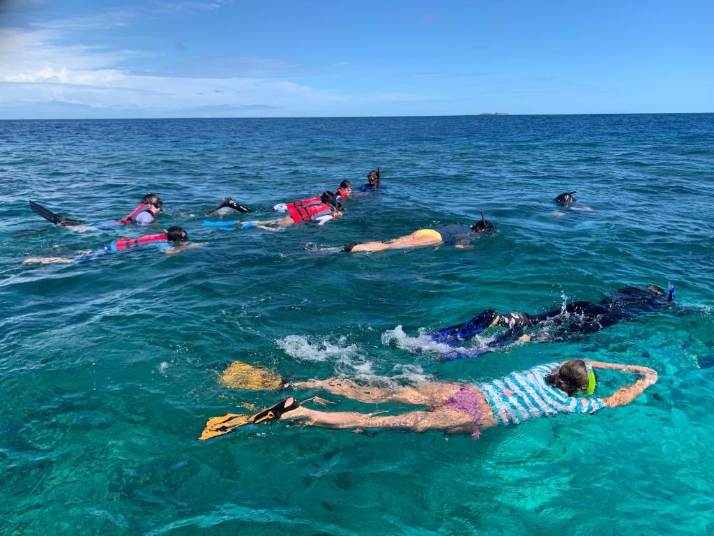 Snorkeling