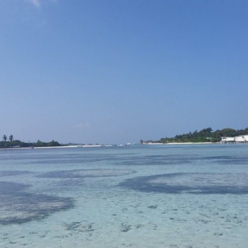 IMG-20250708-WA0031