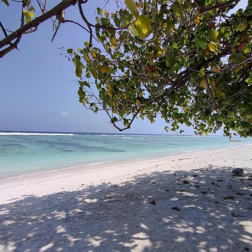 IMG-20250827-WA0019